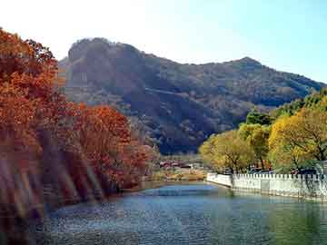 新澳天天开奖资料大全旅游团，黑防鸽子